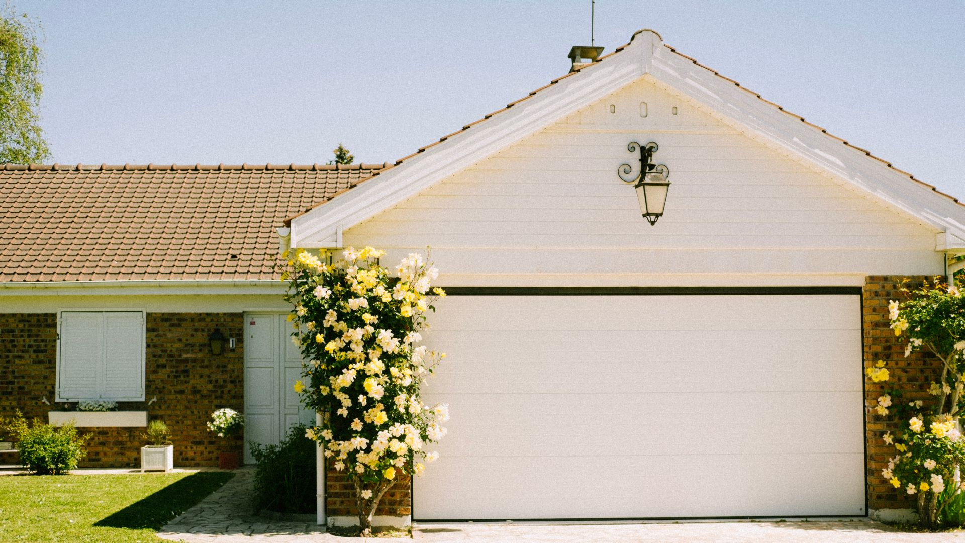 White garage with yellow roses climbing on brick wall on sunny day