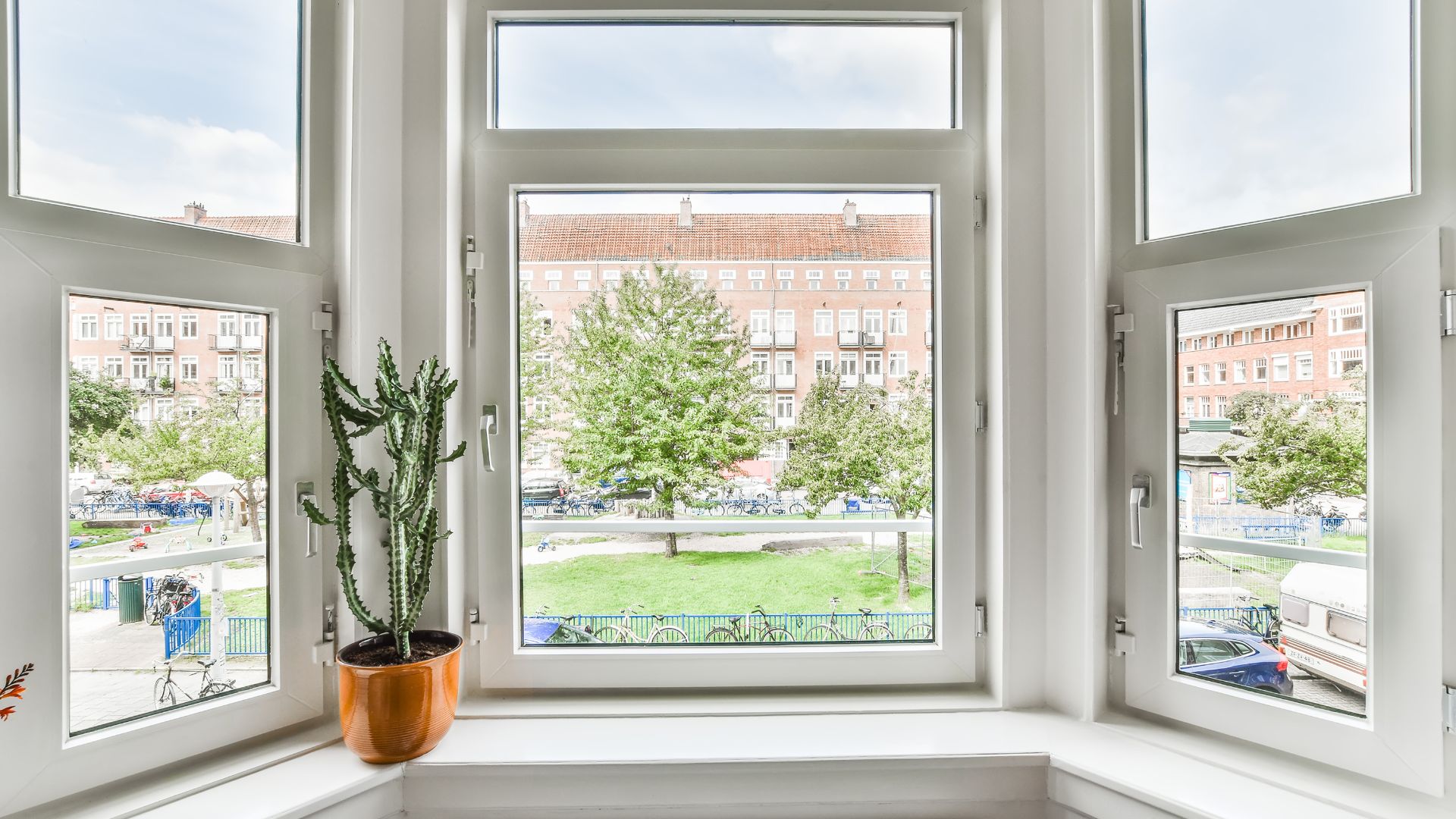 Tall cactus in copper pot by window overlooking urban apartment buildings